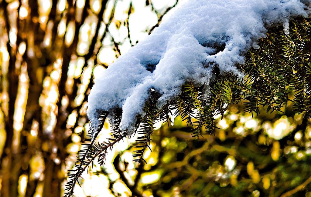 incenso e solstizio d'inverno