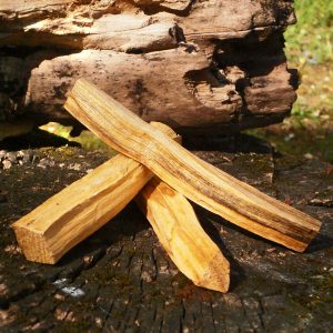 palo santo legno incenso in grani vendita online